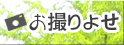 ���B��悹