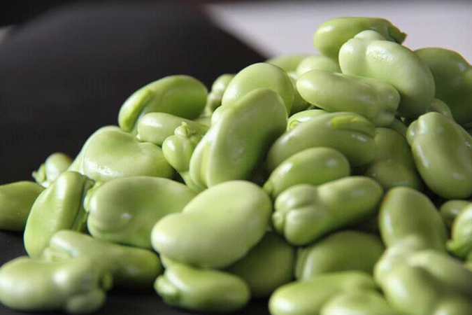 アグリスタイル