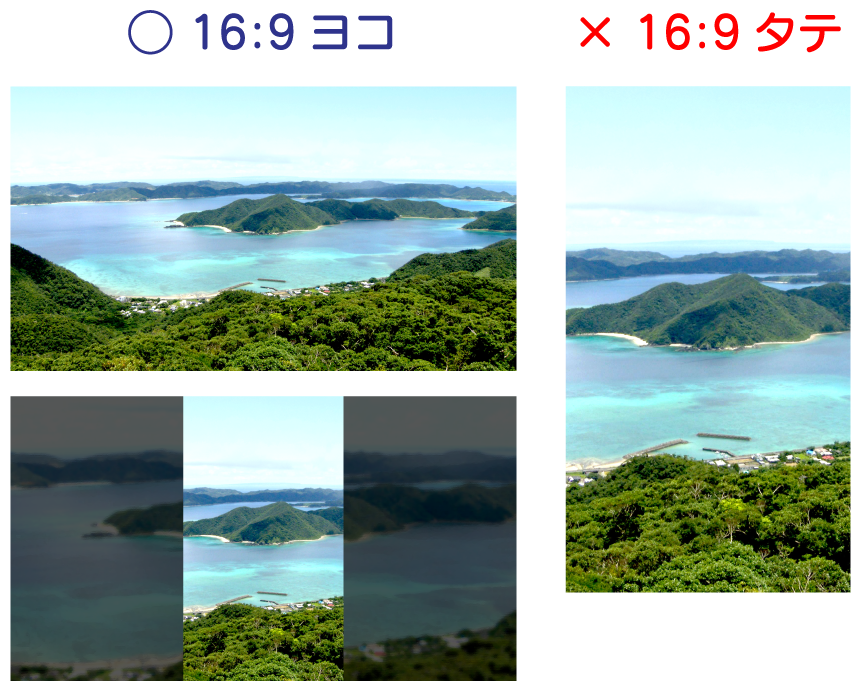 動画撮影サイズの見本