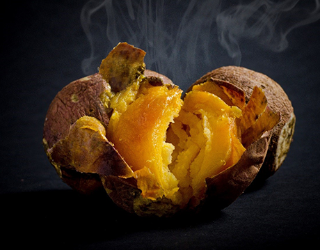 #܌YisuܓYi˂Ƃvlbgŉ