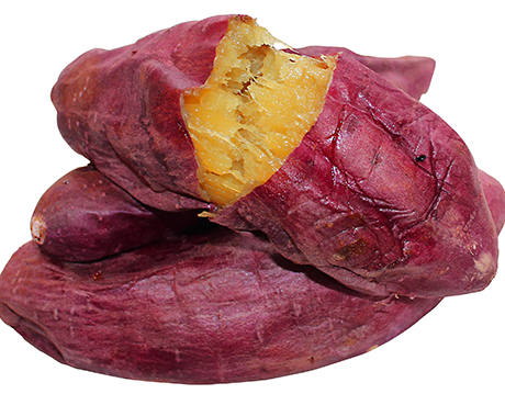 #܌YisuܓYi˂Ƃvlbgŉ