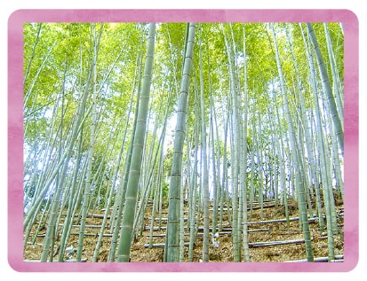 協業組合ユニカラー