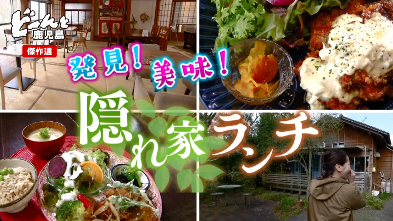 どんかご傑作選②発見！美味！隠れ家ランチ