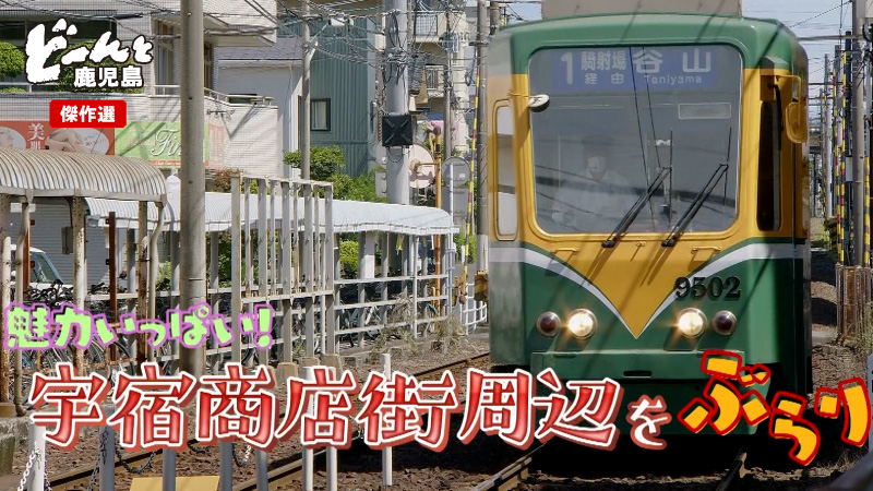 どんかご傑作選③魅力いっぱい！宇宿商店街周辺をぶらり