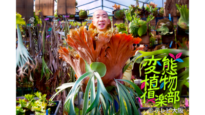 変態植物倶楽部