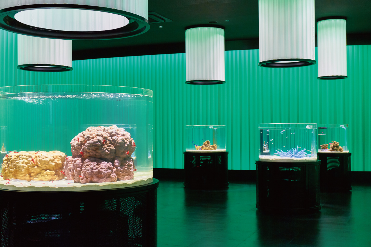 NIFREL(ニフレル)」