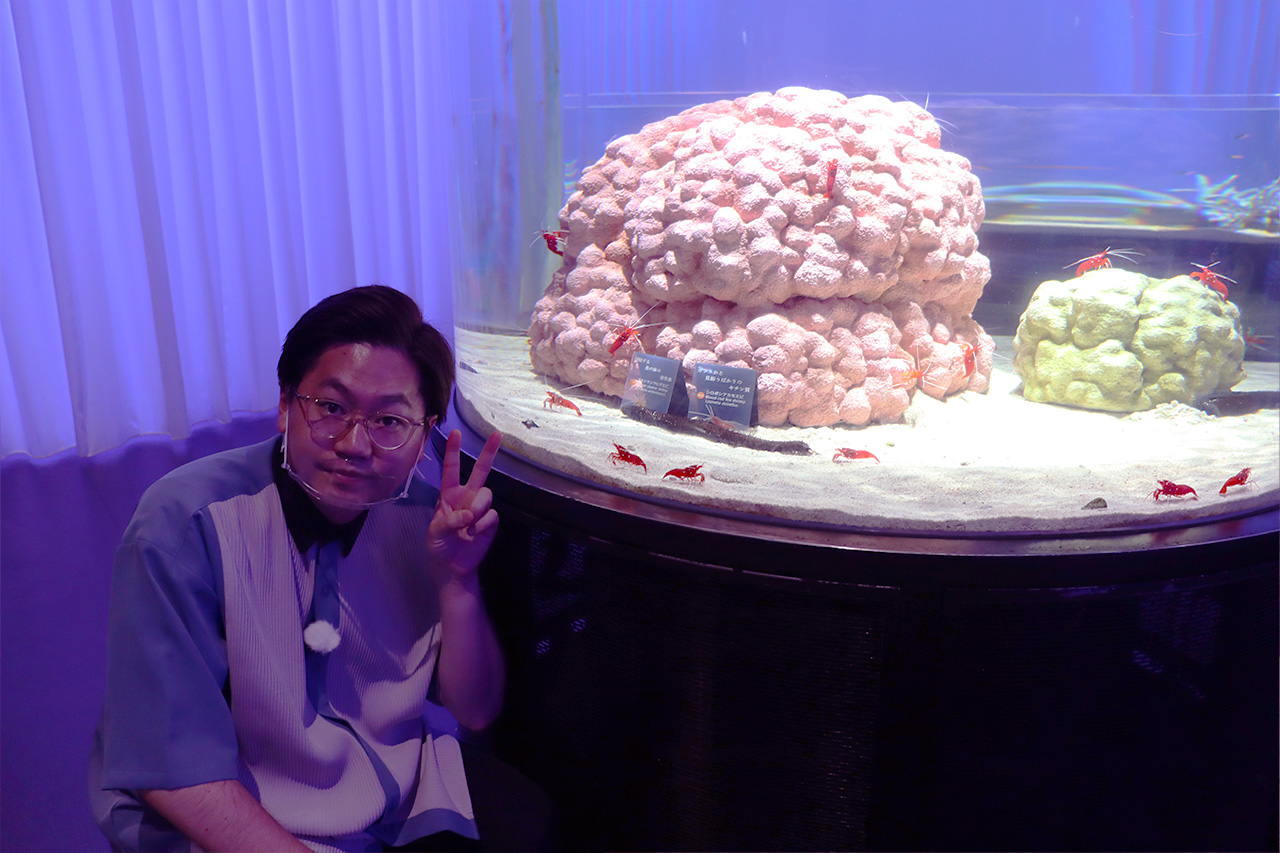 NIFREL(ニフレル)」