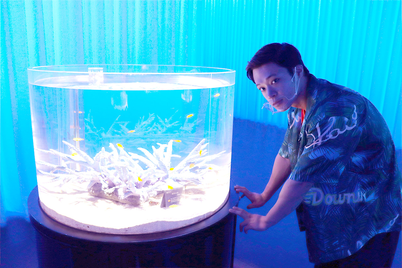 NIFREL(ニフレル)」