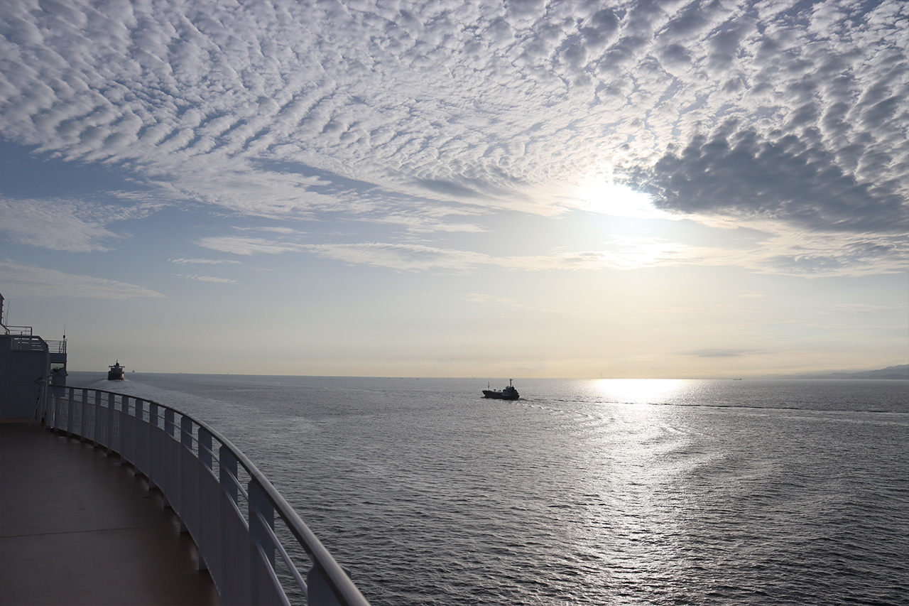 フェリーさんふらわあ