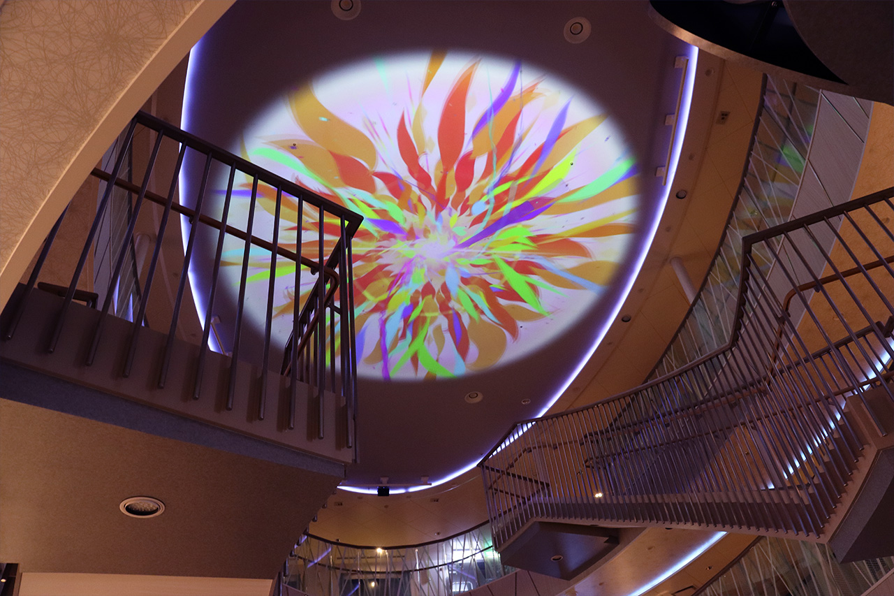 フェリーさんふらわあ