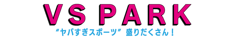 VS PARK(ブイエスパーク)