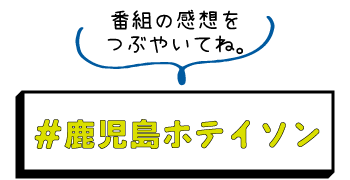 MBCテレビ 2022年8月7日(日)15:30-16:00放送
