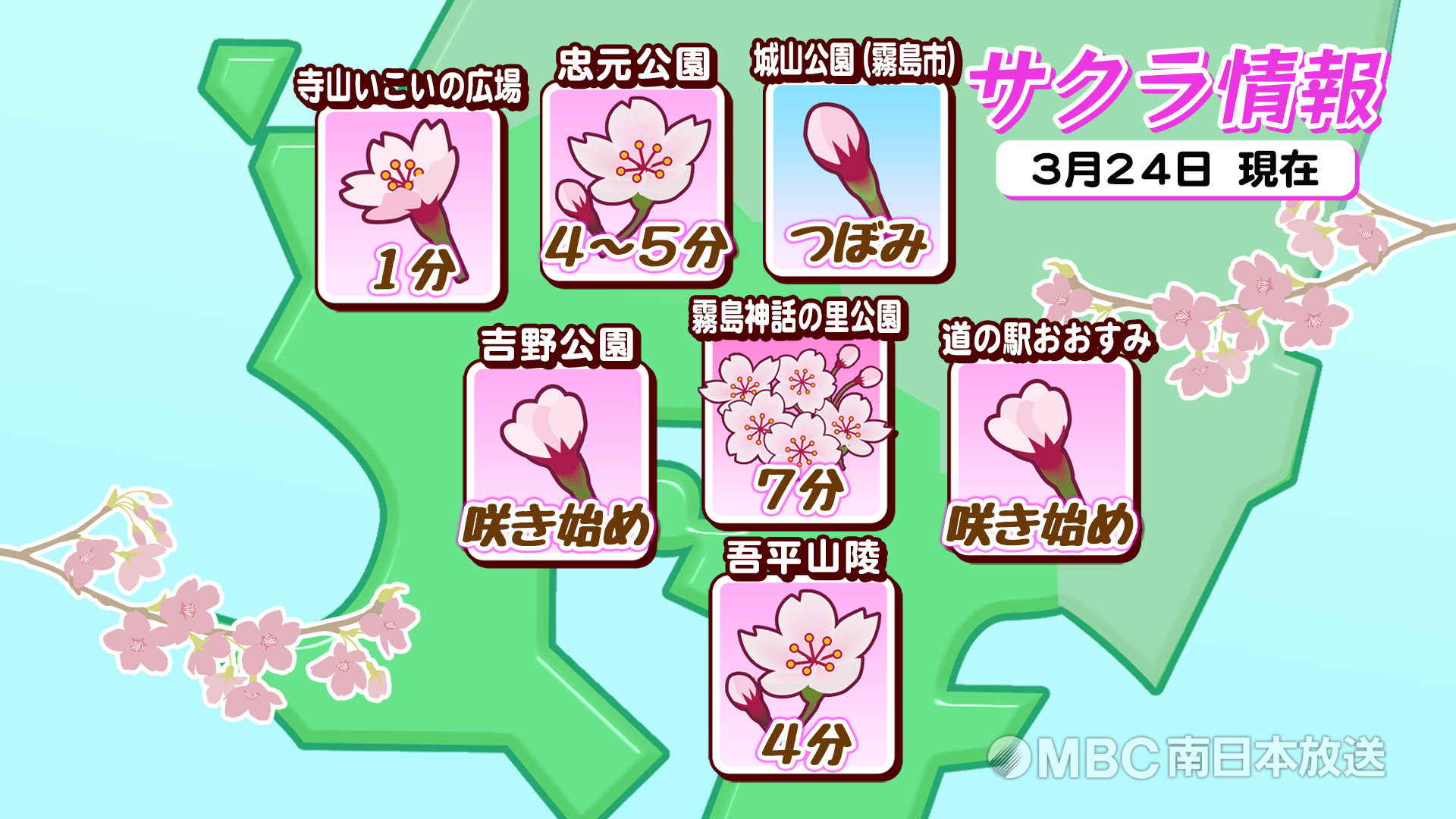 県内のサクラの開花状況